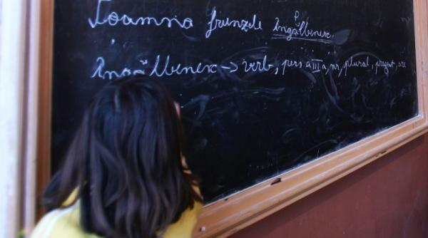 pomelnicul aberatiilor de a moaca