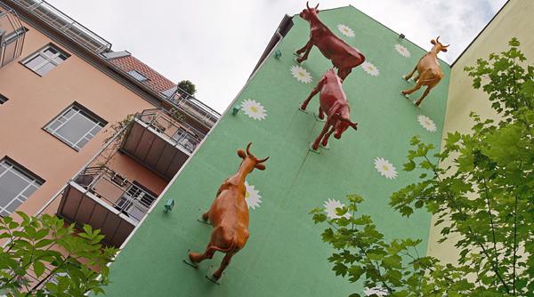 vacute la pascut pe bloc