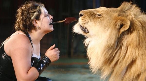 dresoare de lei la 25 de ani