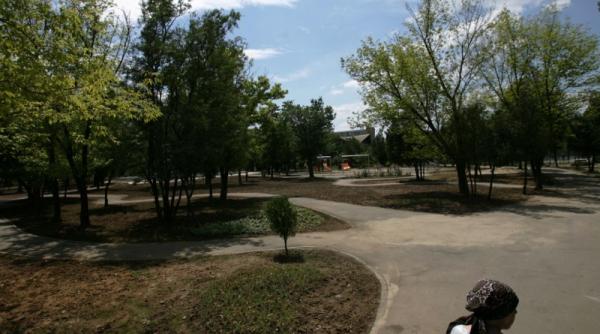 protejati copacii ordonanta pentru spatiul verde