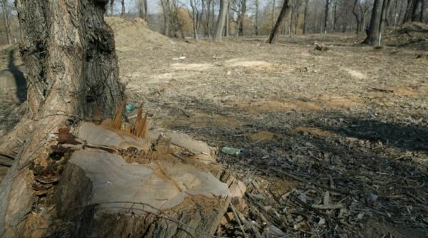 salvati spatiul verde semnaturi pentru salvarea parcului ior