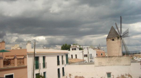 vacante de vis la mallorca