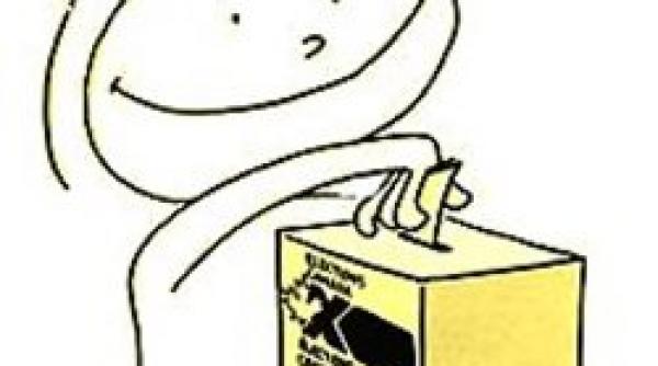 35 000 de buletine de vot sint cautate de catre bem