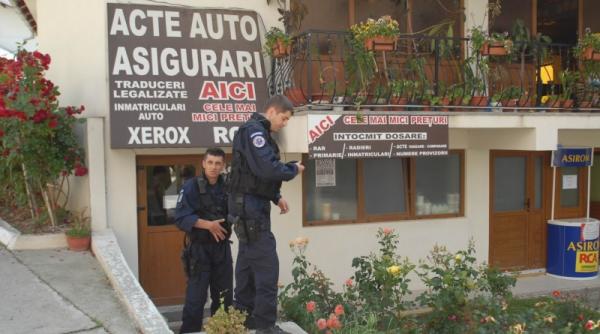 fratie neagra a permiselor