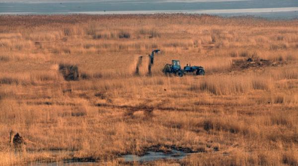 cadastrul deltei suspendat de instanta