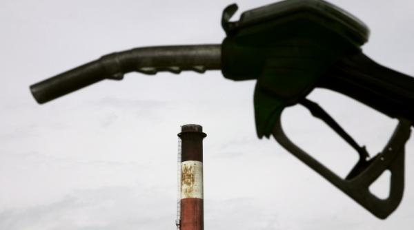 cerere taxe temporar modificate