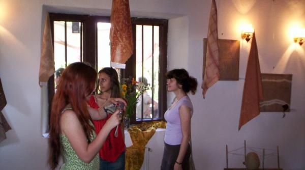 icirc ntre grafica si alchimia plantei