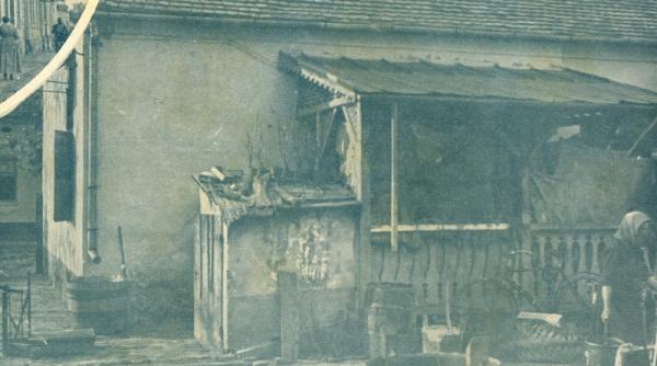 otravitoarele si misterul groazei