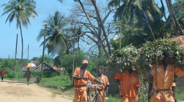 tren de placere in africa neagra v