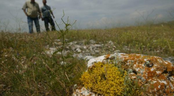 la adamclisi ca in antichitate