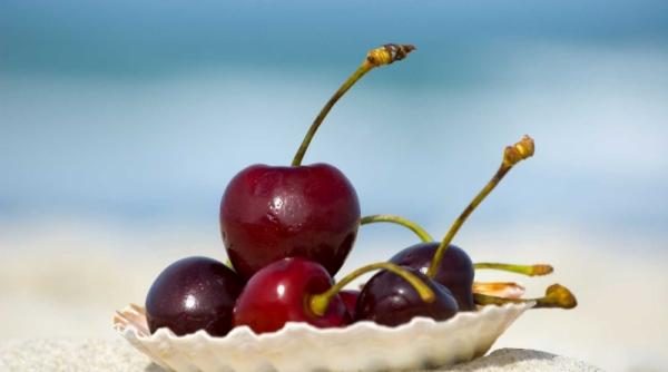 aliatii bronzului sanatos