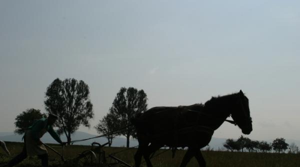 urgenta maxima oferta pietei interne