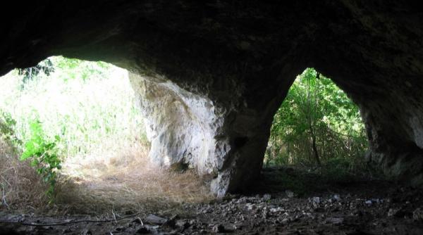 canaraua din sinul viperelor