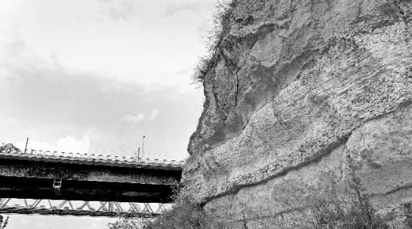 dinozaurii din stinci