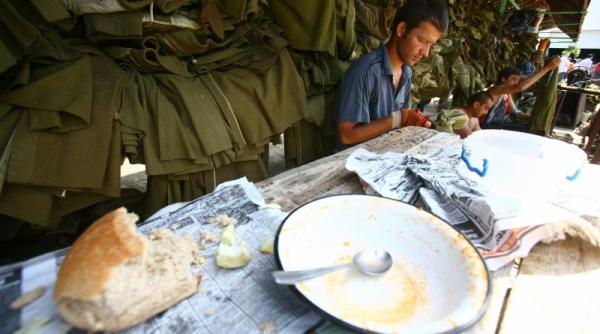 colibasi cuib gingas de pirnaiasi