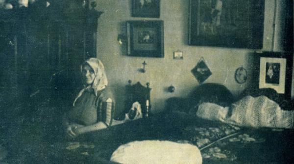 otravitoarele si misterul groazei