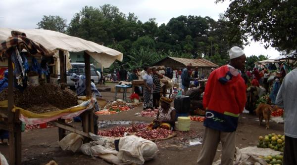 tren de placere in africa neagra vi