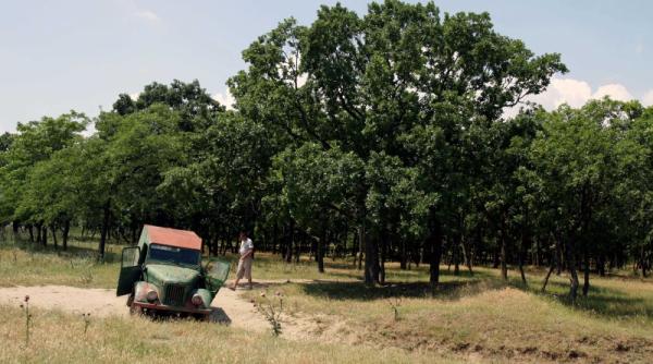 proiect de lux in rezervatia grindu
