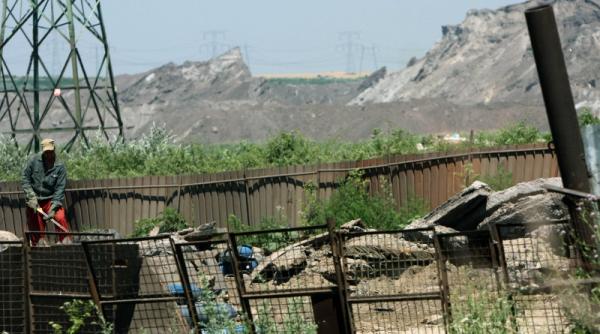 movilenii de linga mittal