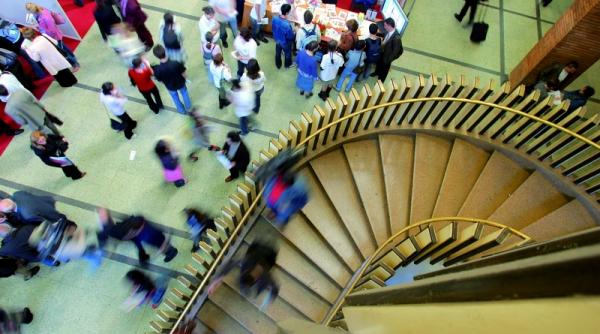 burse de studiu in strainatate