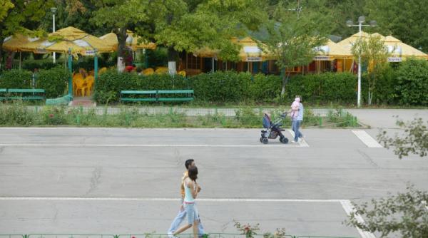 decizie luata pe sprinceana