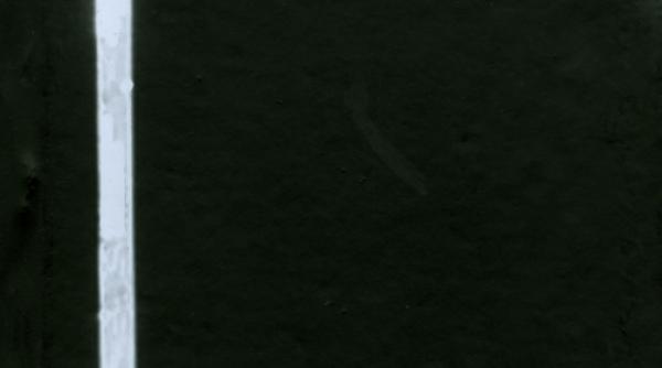 cind toate pleaca si vin din pasere