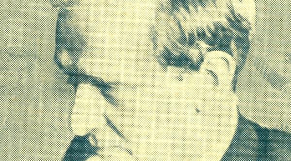 publicistica despre idei