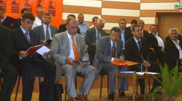 berceanu reales fulger