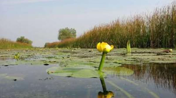 75 de milioane de euro pentru brandul de turism al romaniei