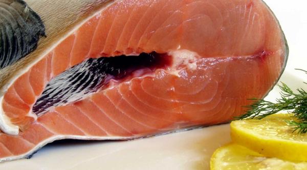 creierul si colesterolul bun