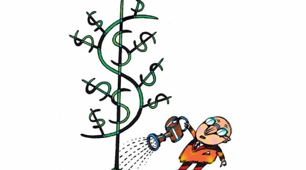 toate cresc doar dl boc ramine pe loc