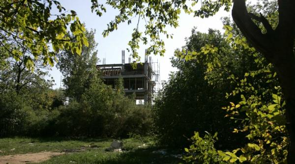 spatiile verzi in atentia p e