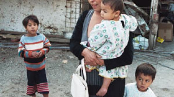 parlamentul european cere italiei sa opreasca amprentarea romilor