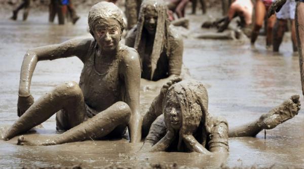 ziua noroiului in michigan