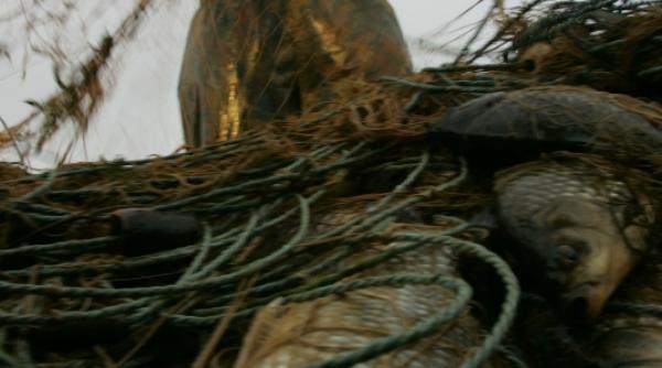 49 milioane e pentru peste