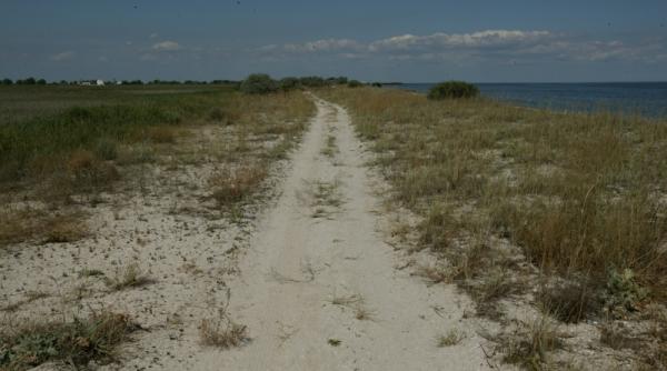 am facut mici ilegalitati