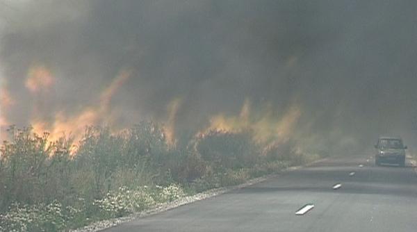 romania in cinci minute