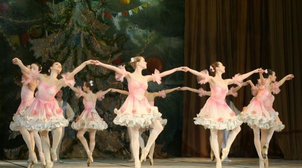 a fi sau a nu fi balsoi