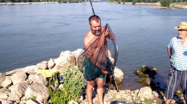 anuala artistilor plastici la partizani