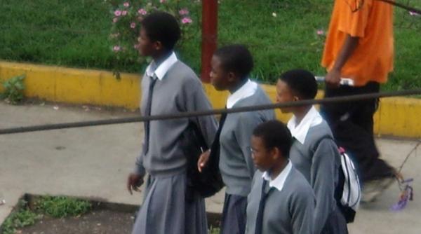 tren de placere in africa neagra viii