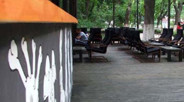 terasele din herastrau isi iau zborul