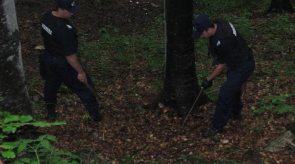 cautari fara speranta