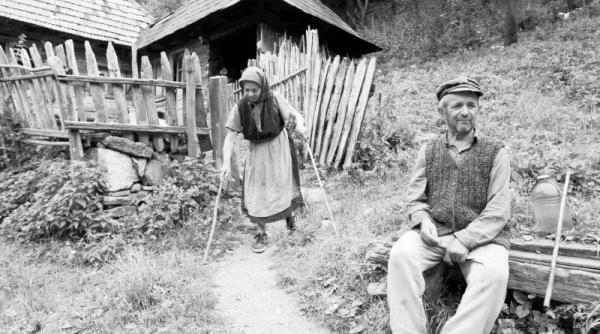 cocini de lux pe valea rimetului