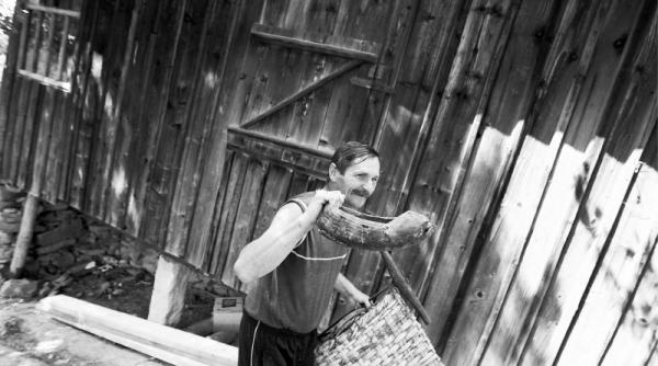 ecoturism la fefeleagul