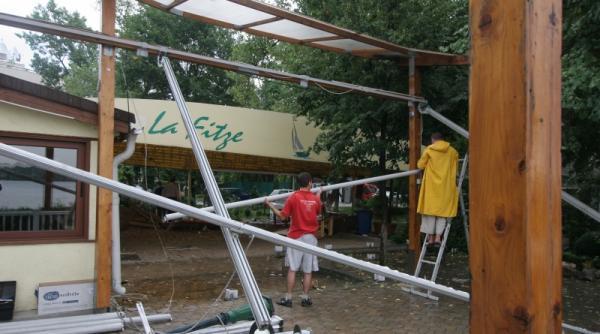 gata cu fitele din herastrau