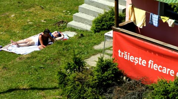 icirc ntrebari enervari mirari