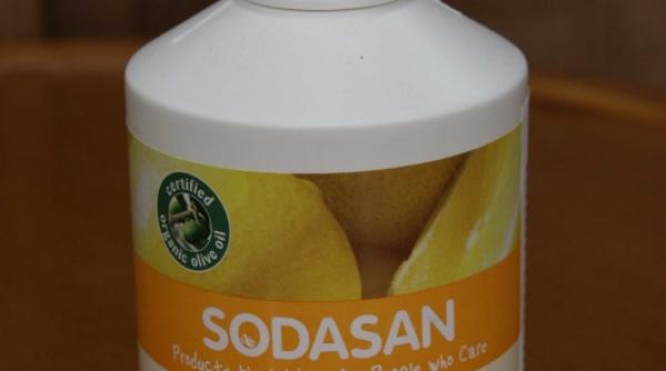 produsul zilei sapun lichid eco