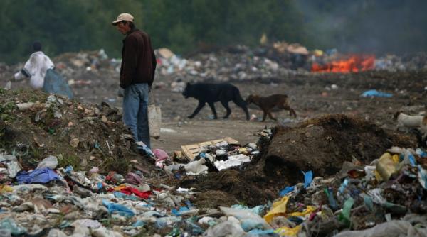 gropile de aur ale gunoierilor negriciosi