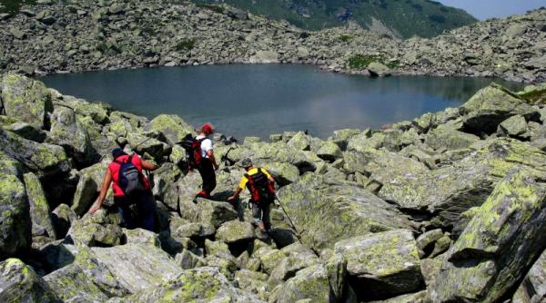 mindra rosiile lungu comorile paringului