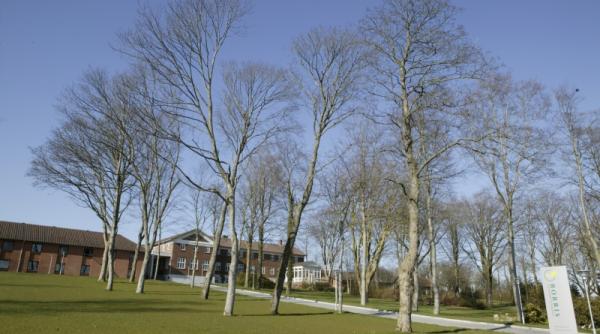 masterat la coada vacii